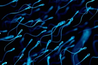 Consumer DNA Tests Negate Sperm-Bank-Donor Anonymity