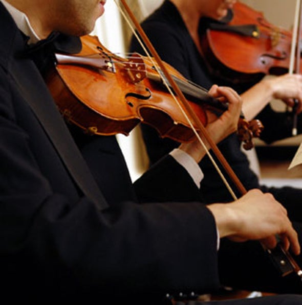 News Bytes of the Week--Making Beautiful Music: Why the Stradivarius Violin is Worth Millions