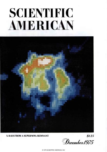 Scientific American Magazine Vol 233 Issue 6