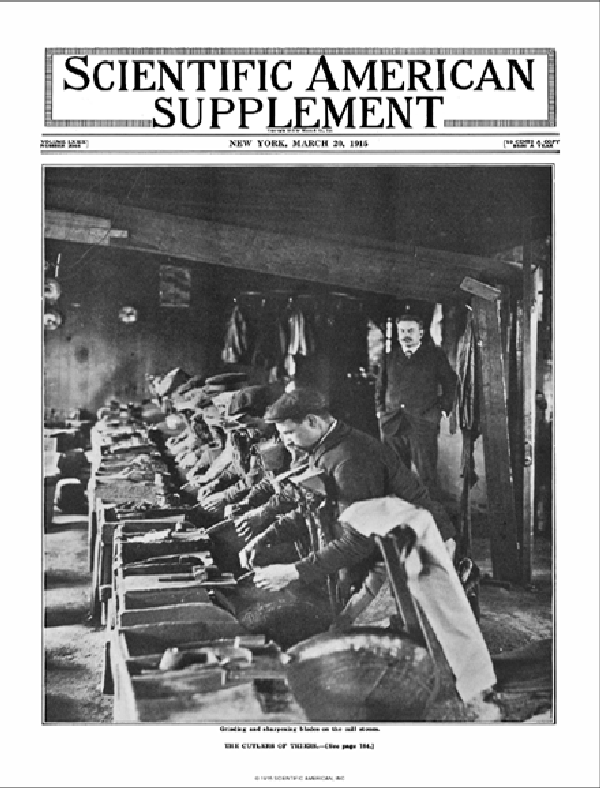 SA Supplements Vol 79 Issue 2046supp