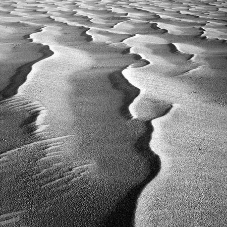 Scientific American Logo