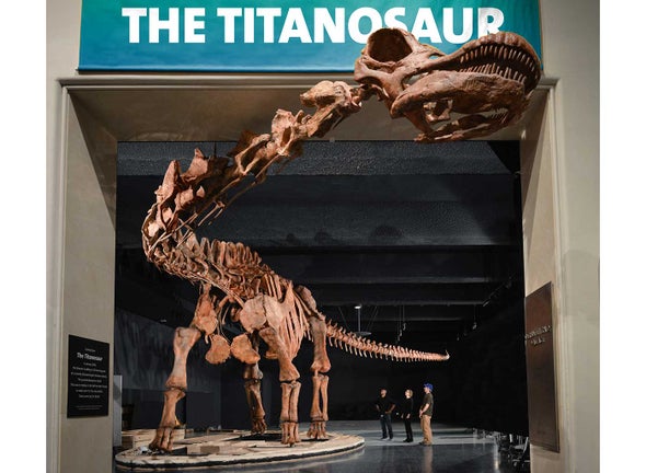 122-Foot Titanosaur: Staggeringly Big Dino Barely Fits into Museum