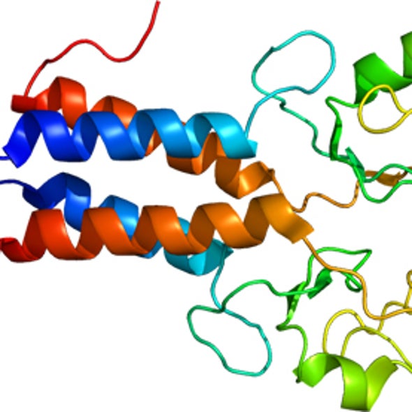 Defending the Body Corporate: Appeals Court Puts Gene Patents on the Stand