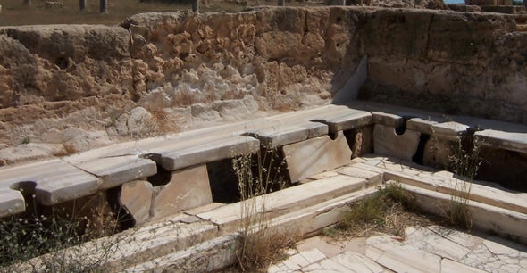 Roman Sanitation Didn't Stop Roaming Parasites