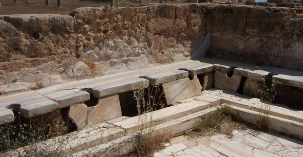 Roman Sanitation Didn't Stop Roaming Parasites