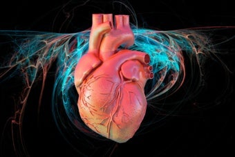 Should Computer Simulations Replace Animal Testing for Heart Drugs?