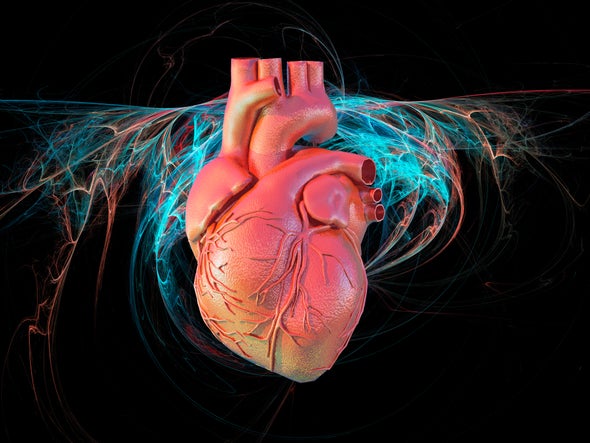Should Computer Simulations Replace Animal Testing for Heart Drugs?