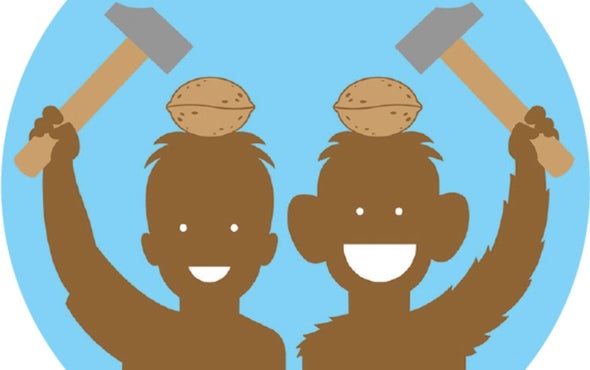 Toddlers Instinctually Know How to Use a Wild Ape's Tools