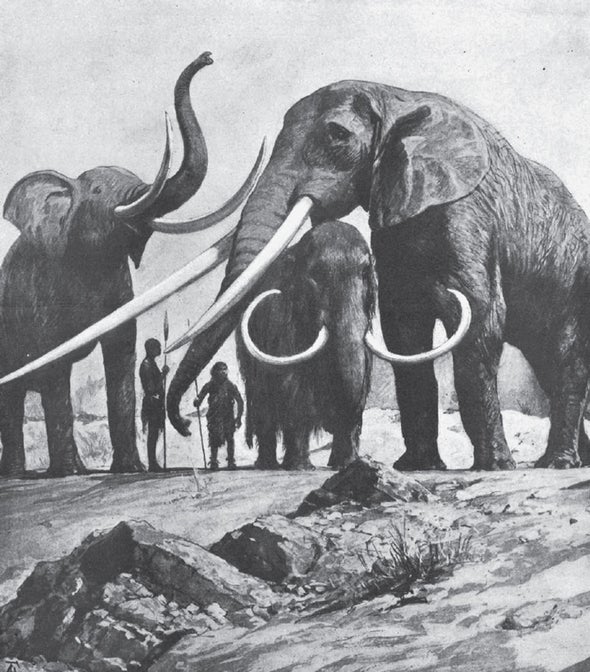 The Gigantic News in Natural History in 1916