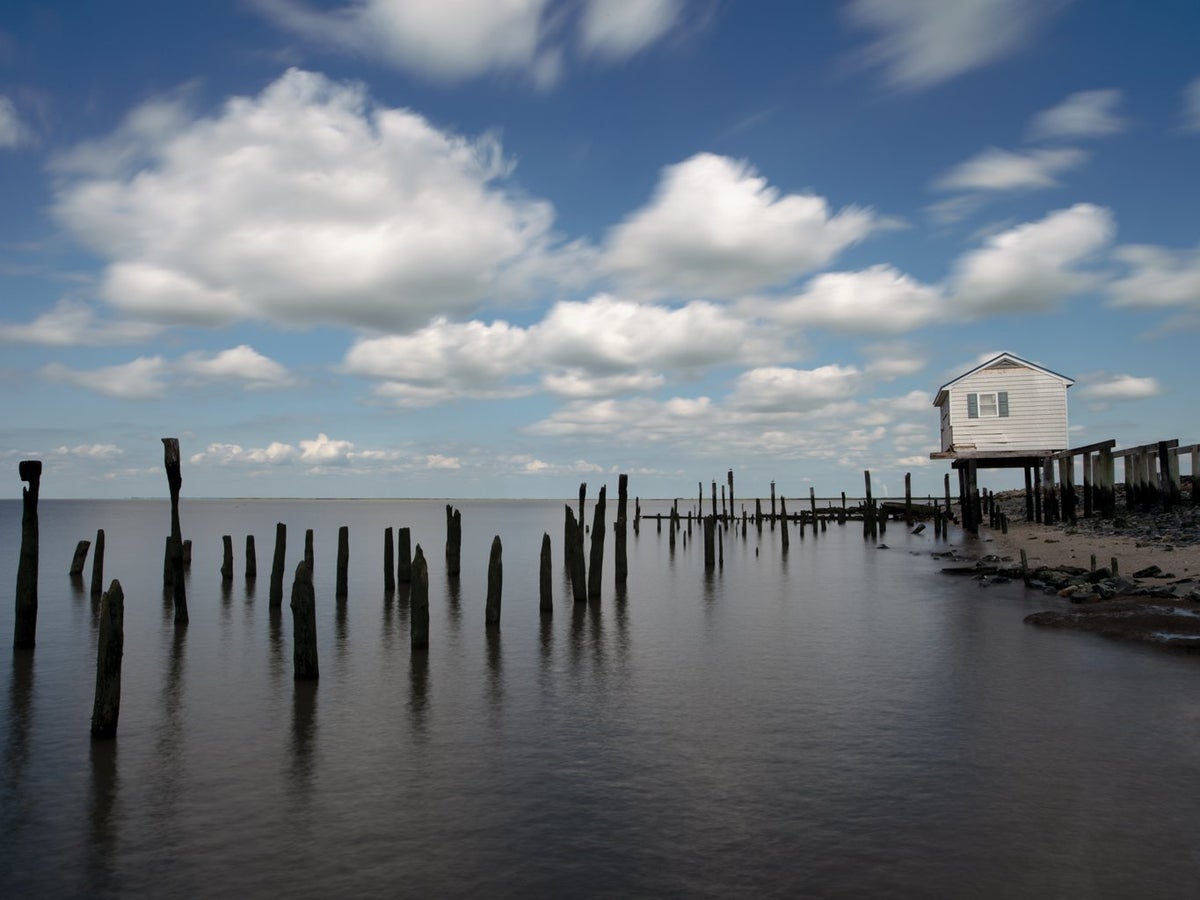 Surrendering to Rising Seas | Scientific American