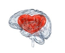 What Goes On in Our Brains When We Are in Love?