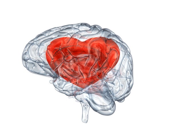 What Goes On in Our Brains When We Are in Love? - Scientific American