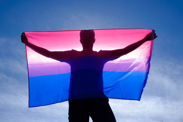 Silhouette of adult man holding a bisexual flag on a sunny day.