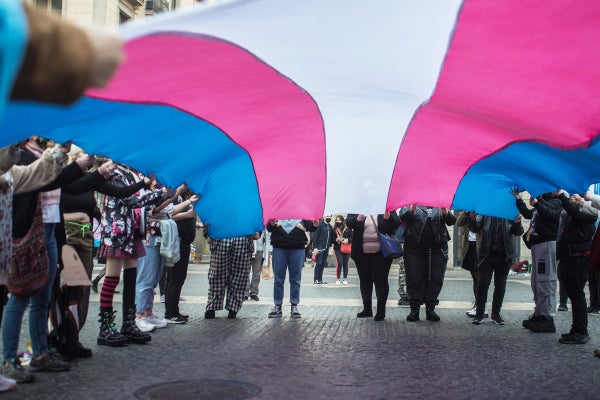 A crowd holds a huge flag with stripes of blue, pink and white.