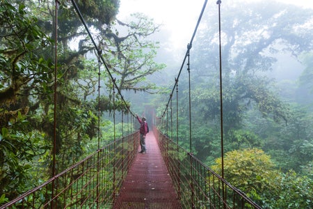 Man standing in the middle of a forest bridge.