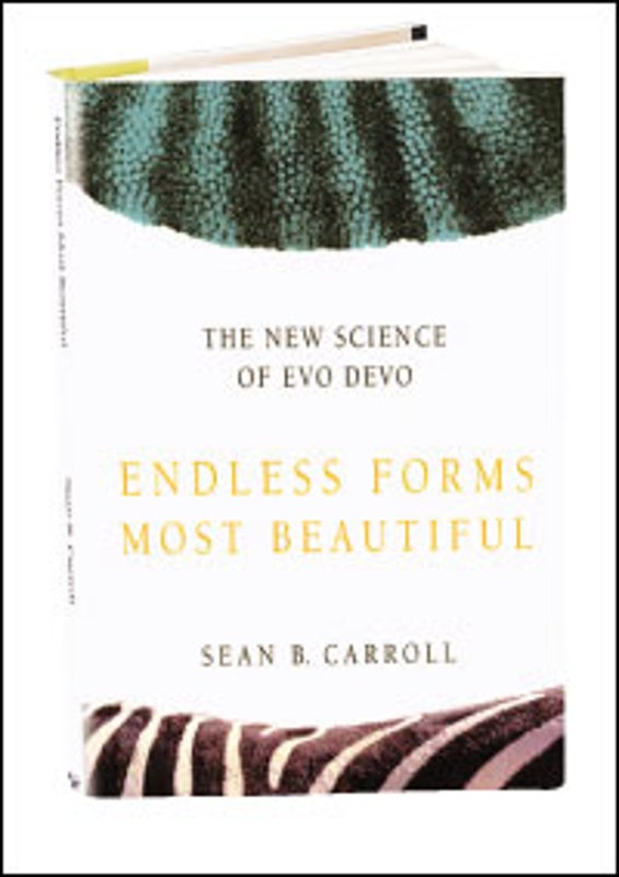 Evo Devo Is the New Buzzword ... - Scientific American Evo Devo Is the New Buzzword ... - Scientific American