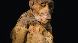 Mysteries of Ancient Egypt's Sacred Baboons Revealed