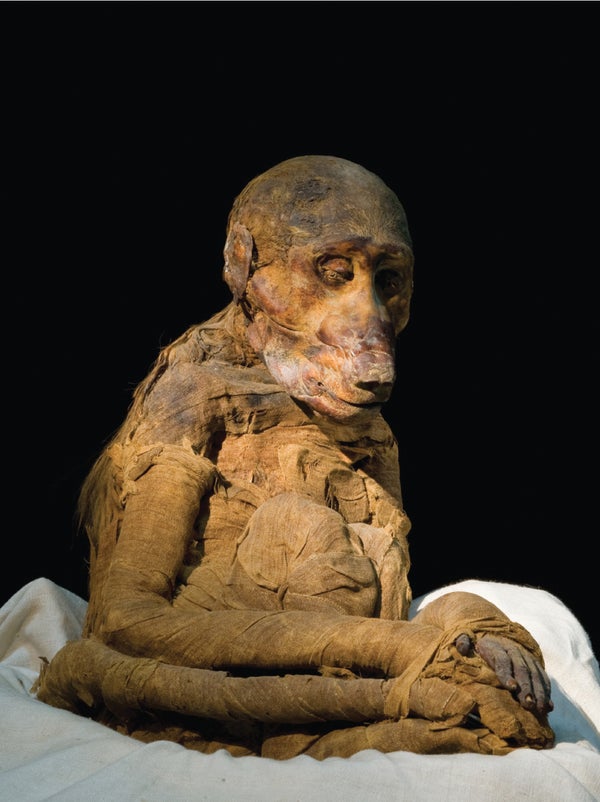 Baboon mummy.