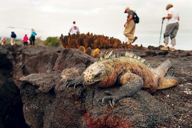 Tourists Could Soon Overrun the Galápagos, Killing Its Famous