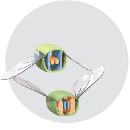 大众科学 Logo