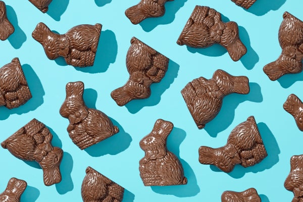 Chocolate easter bunnies.