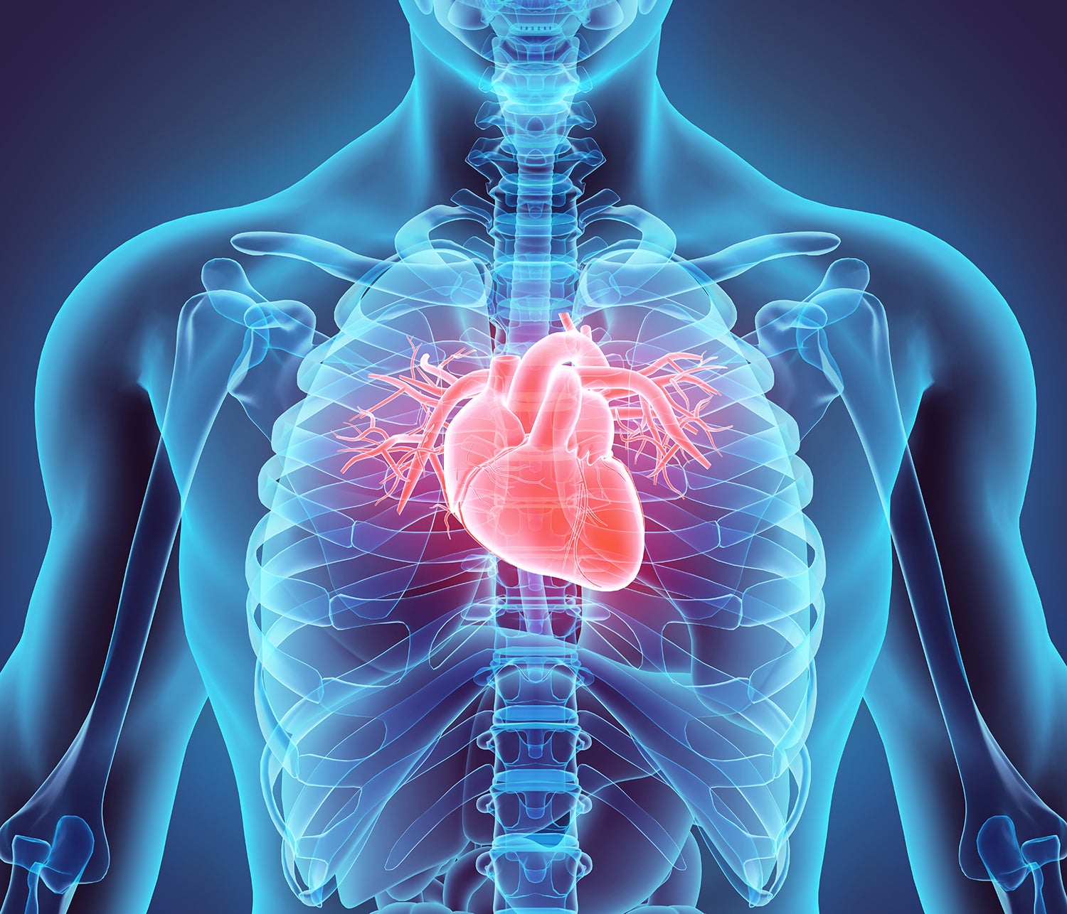 Heart Damage In Covid 19 Patients Puzzles Doctors Scientific American