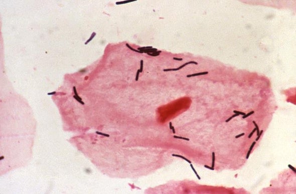 Scientists Bust Myth That Our Bodies Have More Bacteria Than Human Cells