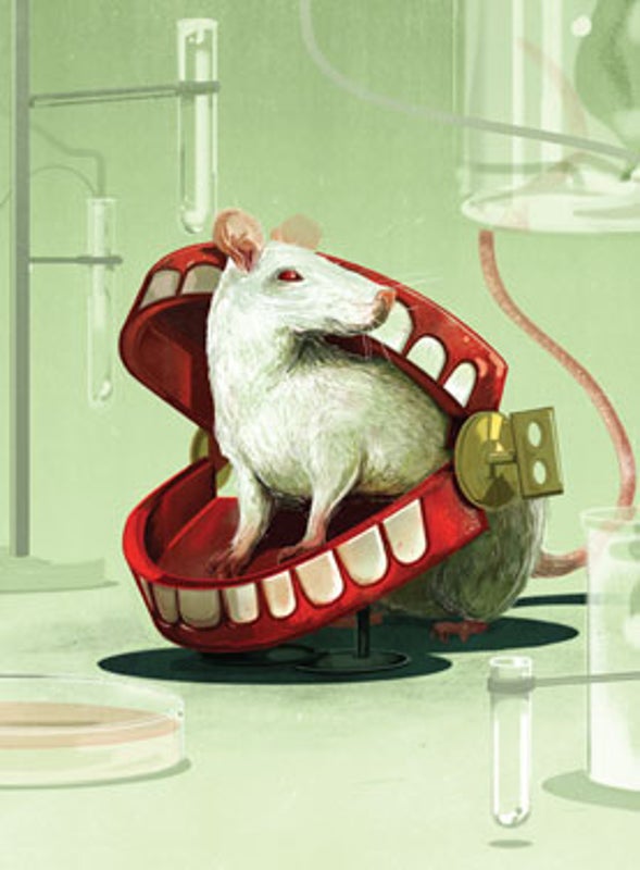 rats laugh but not like humans scientific american