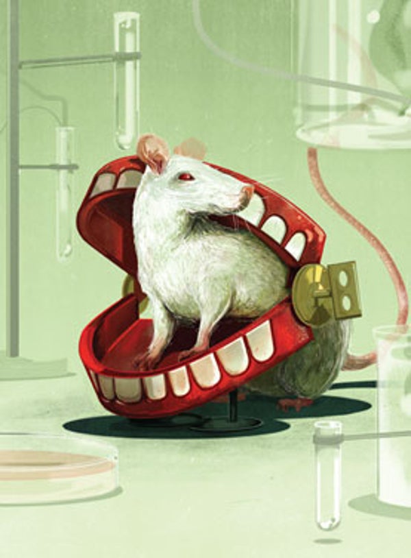 Rats Laugh, but Not Like Humans