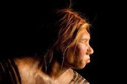 Neandertals Probably Perceived Speech Quite Well