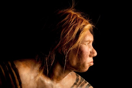 The Neanderthal woman was re-created and built by Dutch artists Andrie and Alfons Kennis.