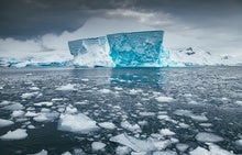 Antarctic Sea Ice Hits a Record Low, but Role of Warming Is Unclear