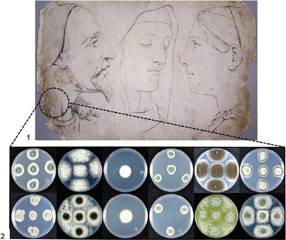 Rescuing Ancient Art from Microbes