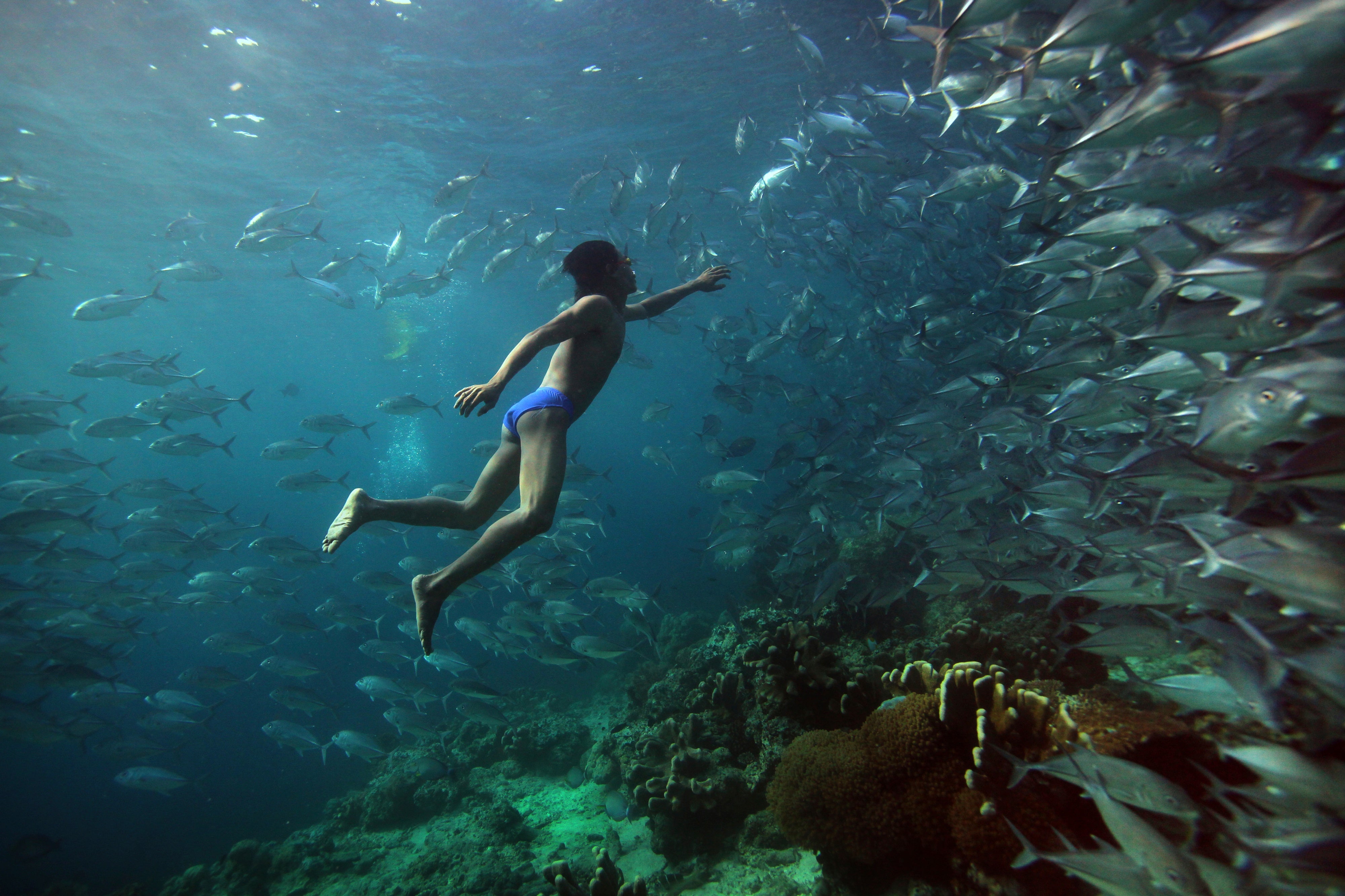 person swimming underwater in ocean