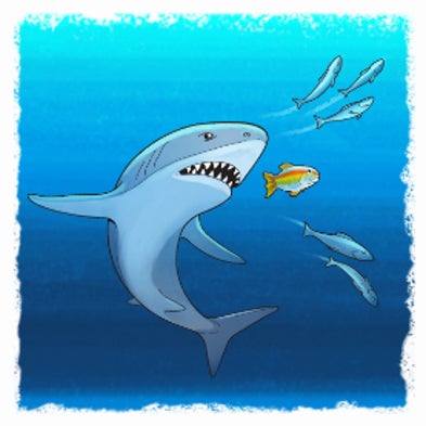 Scoping Science: How Do Animals Look for Food?