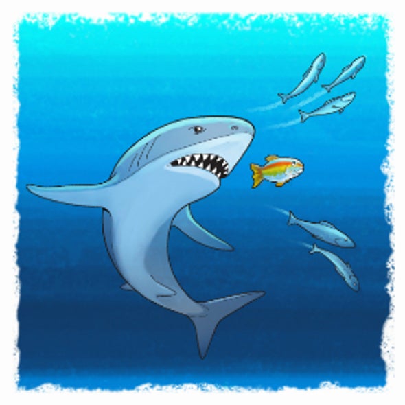 Scoping Science: How Do Animals Look for Food?