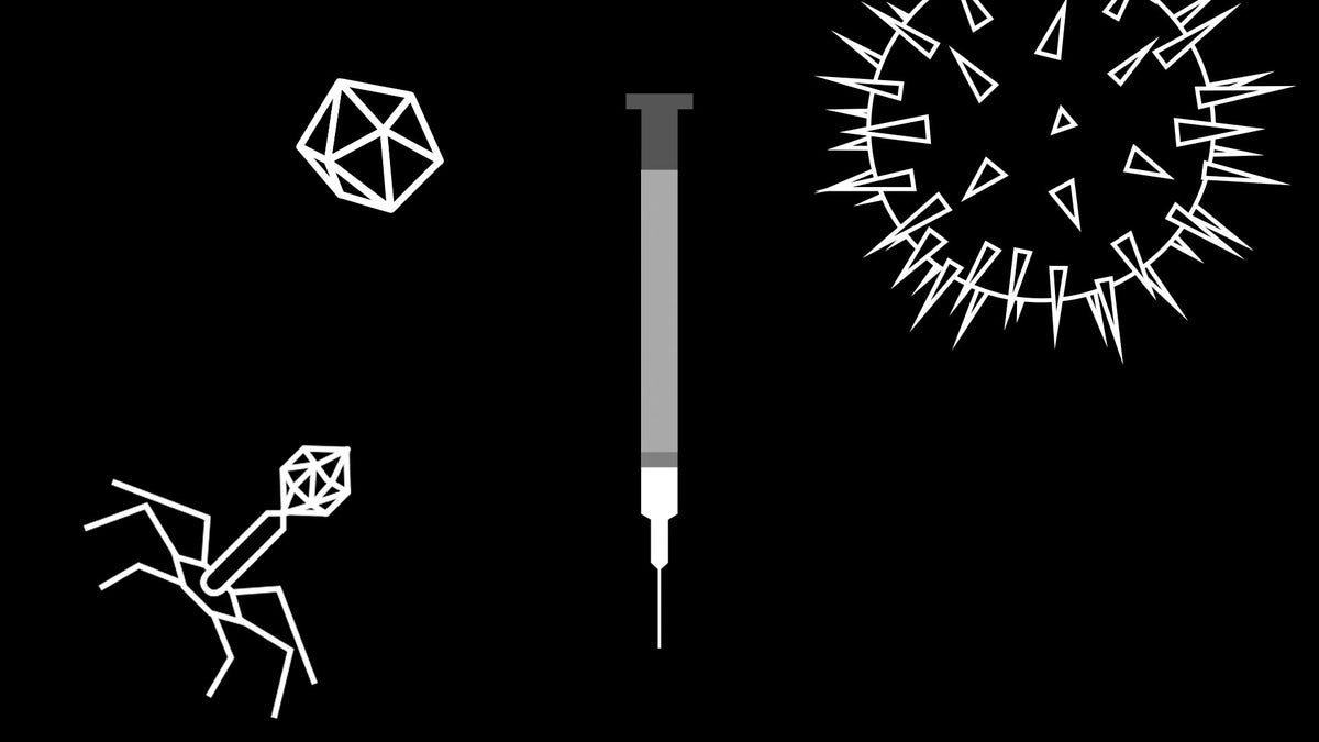 Decoded How Do Vaccines Actually Work Scientific American