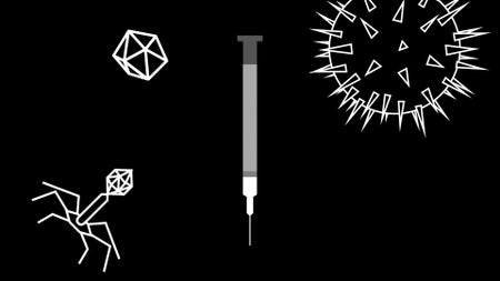 Two-dimensional animations of viruses and a needle