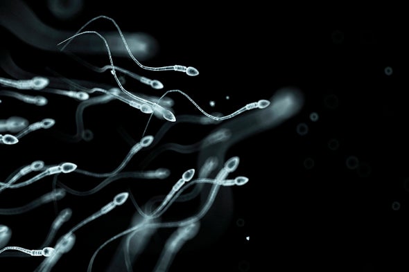 Sperm Count Dropping in Western World