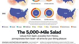Graphic Science: A World of Food, Delivered to America's Doorstep