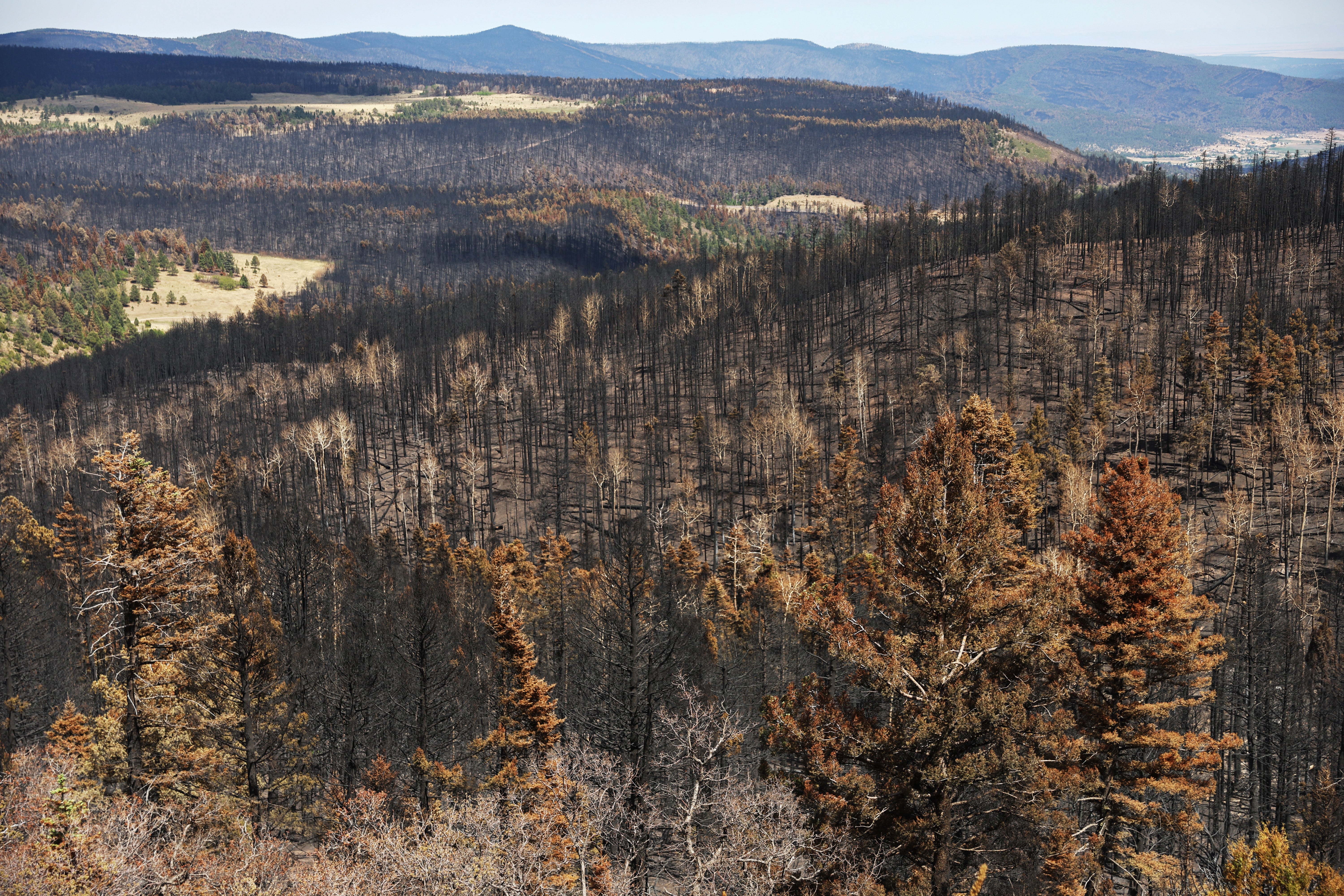 Prescribed Burns Are More Dangerous Because of Climate Change thumbnail
