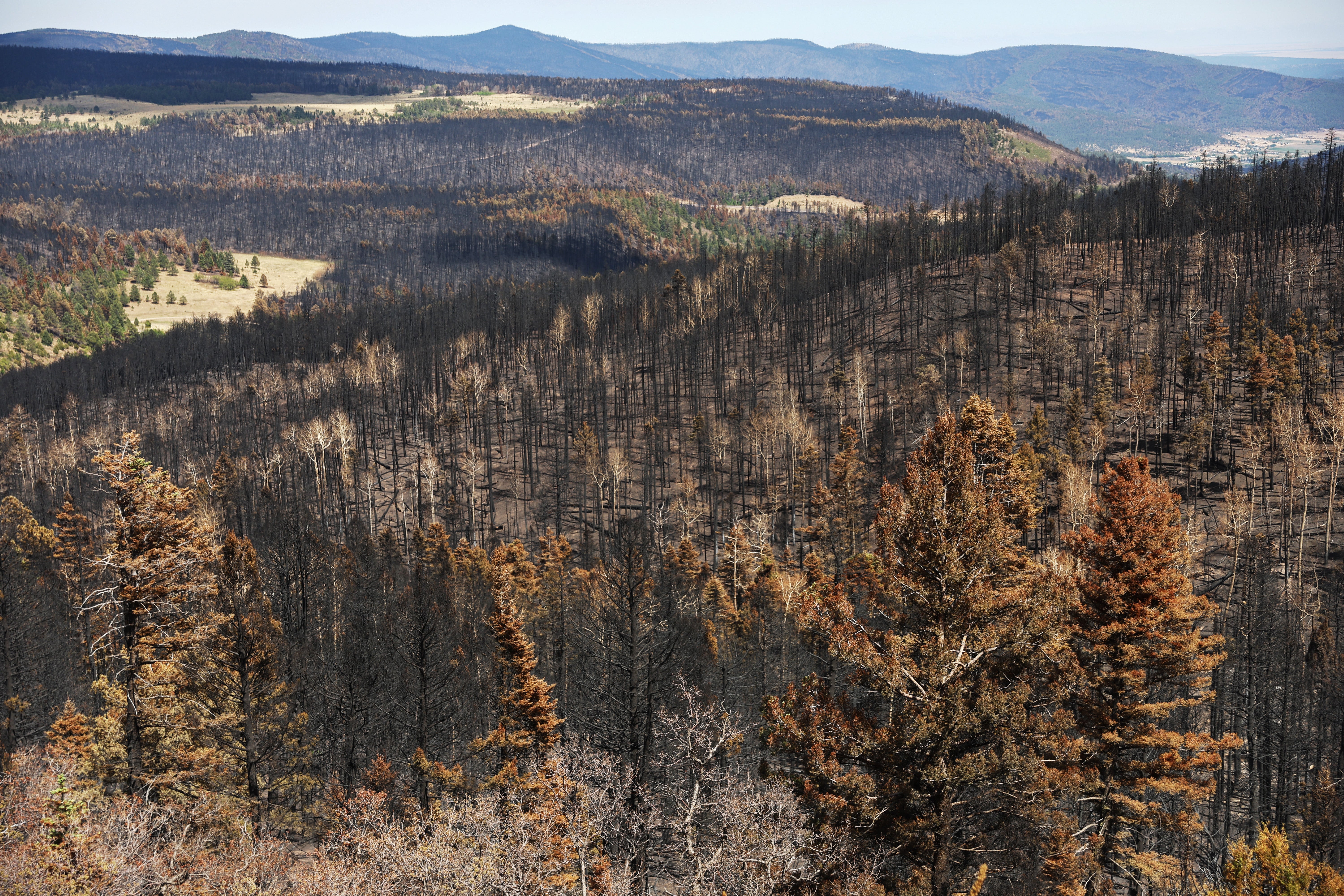 Photo of Prescribed Burns