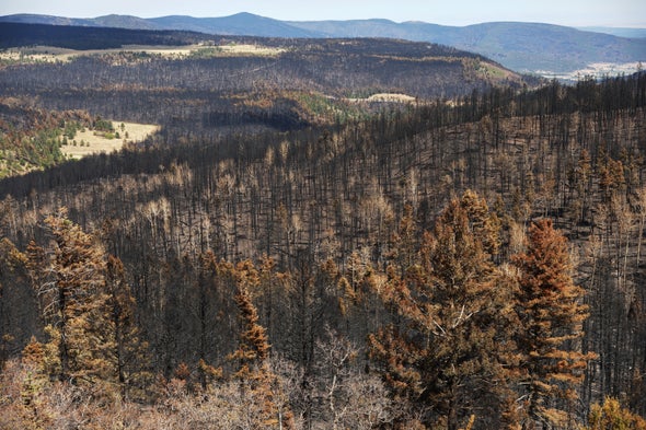 Prescribed Burns Are More Dangerous Because of Climate Change