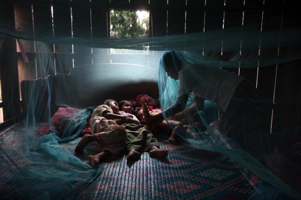 Bed Nets with Insecticide Cut Spread of Mosquito-Borne Diseases, Despite Resistant Bugs
