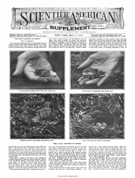 SA Supplements Vol 61 Issue 1584supp