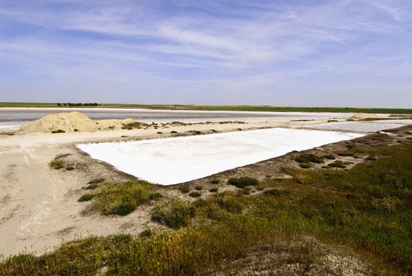 A rectangle of salt is seen at the Tirez Lagoon.