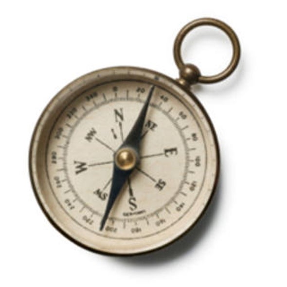Researchers Claim to Cook Up Isolated Magnetic Poles