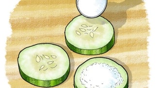 Cucumber Chemistry: Moisture Capture with Desiccants