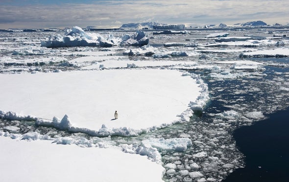 Antarctic Commission Rejects Proposed Marine Sanctuaries