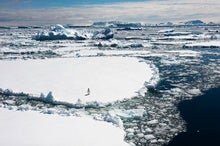 Antarctic Commission Rejects Proposed Marine Sanctuaries